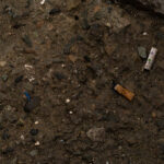 DSC00017-Enhanced-NR